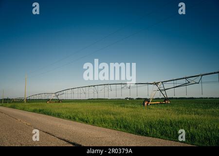 Bewässerung auf einem großen Feld mit einer selbstfahrenden Sprinkleranlage mit Mittelschaukel. Moderne Landwirtschaftstechnologien. Industrielle Erzeugung von Agrarerzeugnissen Stockfoto