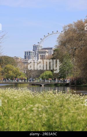 Frühlingssonne für das Feiertagswochenende Anfang Mai im St. James's Park im Zentrum von London, Großbritannien Stockfoto