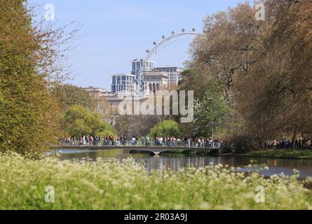 Frühlingssonne für das Feiertagswochenende Anfang Mai im St. James's Park im Zentrum von London, Großbritannien Stockfoto