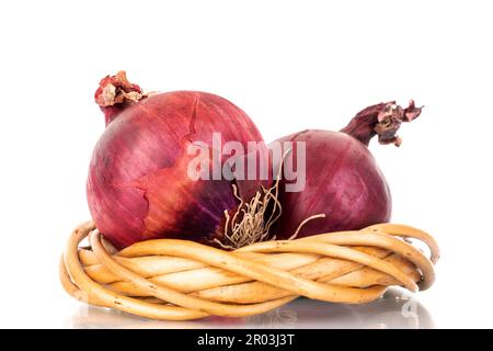 Zwei organische blaue Zwiebeln mit Weinkranz, Makro, isoliert auf weißem Hintergrund. Stockfoto