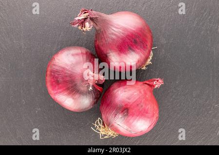 Drei organische blaue Lampen auf Schieferstein, Makro, Draufsicht. Stockfoto