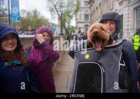 London, Großbritannien. , . Krönungsschmuck, iranische Royalisten und Benjamin Dog. London, Großbritannien. Royalisten schwenken mit einer Fahne aus der Schah-Ära, und der 2 Jahre alte Benjamin Dog verleiht ihm seine Anerkennung. Kredit: Peter Hogan/Alamy Live News Stockfoto