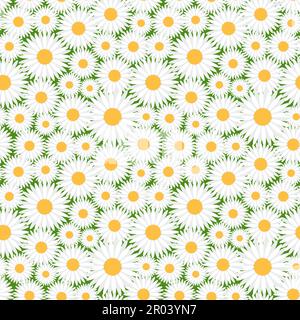 Dekoratives Nahtmuster mit Gänseblümchen. Stock Vektor