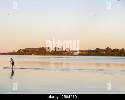 Der Vollmond erhebt sich über den Horizont, während der Stand-Up-Paddle-Boarder an der ruhigen Wasseroberfläche des Tauranga Harbour vorbeifährt. Stockfoto