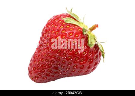 Erdbeere isoliert auf weißem Hintergrund. Frische und saftige Erdbeeren. Stockfoto