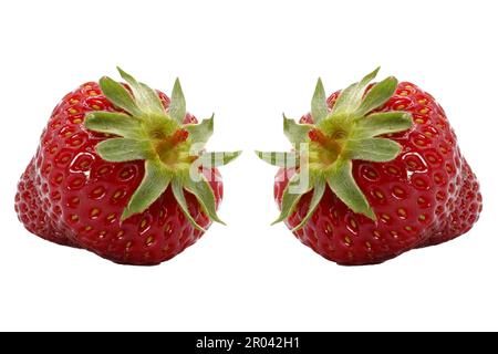 Erdbeere isoliert auf weißem Hintergrund. Frische und saftige Erdbeeren. Stockfoto