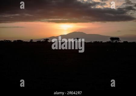 Tagesanbruch in Ndutu, Tansania, Afrika, wenn die Morgensonne über den fernen Bergen die Baumlinie in den Ebenen umhüllt Stockfoto