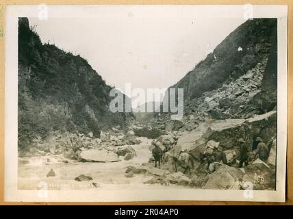 Goldsucher und Packpferde auf dem White Pass Trail, Kalifornien 1899. Der White Pass war eine der wichtigsten Routen der Goldsucher, die von Skagway zu den Goldfeldern des Yukon reisten. Stockfoto