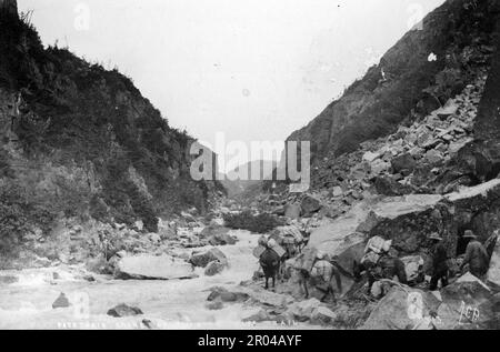 Goldsucher und Packpferde auf dem White Pass Trail, Kalifornien 1899. Der White Pass war eine der wichtigsten Routen der Goldsucher, die von Skagway zu den Goldfeldern des Yukon reisten. Stockfoto