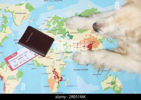 Golden Retriever liegt in der Nähe von Pass und Ticket auf der Weltkarte, Draufsicht. Reisen mit Haustier Stockfoto