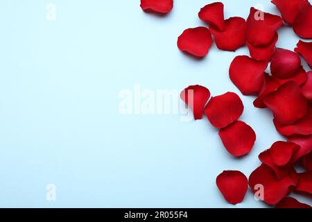 Wunderschöne rote Rosenblütenblätter auf hellblauem Hintergrund, flach liegend. Platz für Text Stockfoto