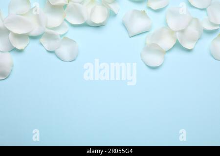 Wunderschöne weiße Rosenblütenblätter auf hellblauem Hintergrund, flach liegend. Platz für Text Stockfoto