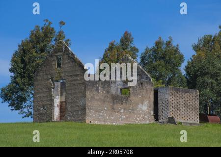 Naturschutzgebiet Lake Eland in der Oribi-Schlucht mit Hängebrücke in Südafrika Stockfoto