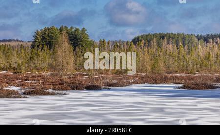 Frühlingsspuren auf einem Wildnissee im Chequamegon National Forest im Norden von Wisconsin. Stockfoto