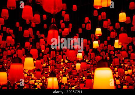 Odaiba, Tokio, Japan - 02. Januar 2020: Schöner Projektor und reflektierende Lichteffekte auf dem EPSON teamLab Borderless. Stockfoto