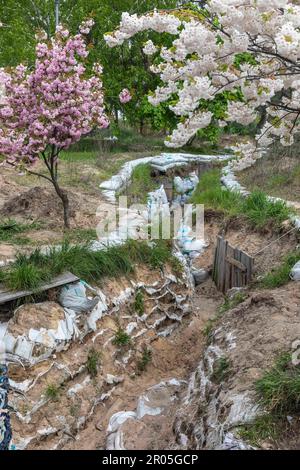 Kiew, Ukraine. 4. Mai 2023. Gräben und Sandsäcke sind in den Gassen des Parks zu sehen. Sakura blühte im Kyoto-Park in Kiew auf. Der Kyoto Park in Kiew ist eine kleine japanische Insel inmitten der ukrainischen Hauptstadt. Es ist die längste Sakura-Allee in der Ukraine, etwa einen Kilometer lang, wurde gepflanzt, Sakura-Bäume blühen nicht lange - nur zwei Wochen von Ende April bis Anfang Mai. Kyoto Park war der Ort der Verteidigungslinie Kiews und es gibt zahlreiche Befestigungsanlagen. (Credit Image: © Mykhaylo Palinchak/SOPA Images via ZUMA Press Wire) NUR REDAKTIONELLE VERWENDUNG! Nicht für den kommerziellen GEBRAUCH! Stockfoto