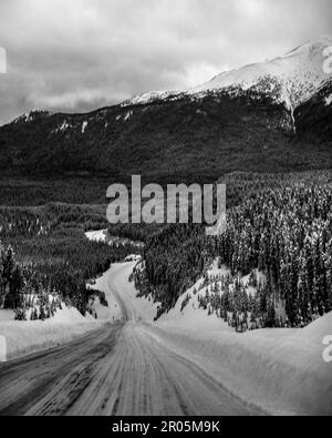 Schwarzweiß-Porträt-Blick entlang des Alaska Highway im Winter mit schneebedeckten Bergen und einer Straße, die zu einer perfekten schneebedeckten Landschaft führt. Stockfoto