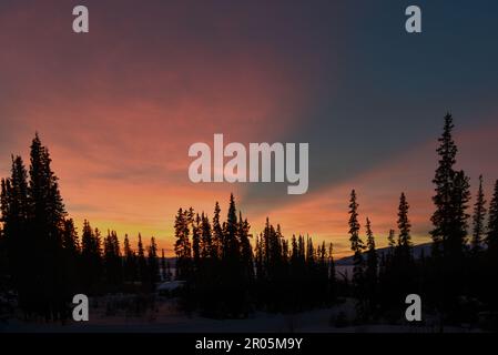 Unglaubliche Sonnenuntergänge in der Wintersaison vom Norden Kanadas mit leuchtend rosa Wolken, Bergen und Schnee in der Dämmerung. Stockfoto