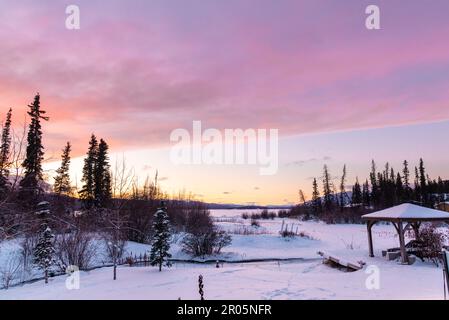 Atemberaubende arktische Sonnenaufgänge im Winter im Norden Kanadas mit pastellfarbenen Rosa, die die Landschaft darunter treffen. Wildnistourismus. Stockfoto