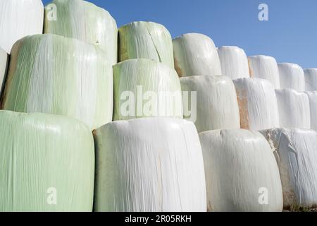 Gewickelte und gestapelte Heuballen mit blauem Himmel im Hintergrund Stockfoto