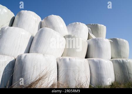 Gewickelte und gestapelte Heuballen mit blauem Himmel im Hintergrund Stockfoto