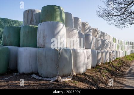 Viele haben an einem sonnigen Tag mit blauem Himmel im Frühling Heuballen am Rande einer Landstraße gewickelt und gestapelt Stockfoto