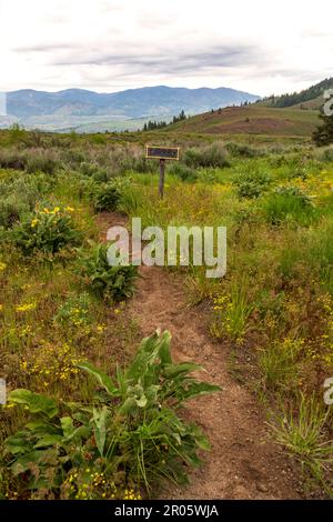 Ein Fußweg durch wilde Blumen mit Blick auf die Ausläufer der North Cascade Mountains führt vorbei an einem Schild für ein Korral am Sun Mountain, nahe Wint Stockfoto