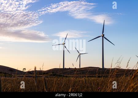 Lake Bonney Wind Farm & Sunset in der Nähe von Millicent, Südaustralien Stockfoto