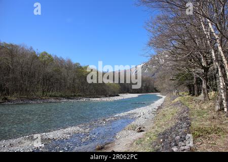 Der klare Fluss Azusa in Kamikochi, Japan Stockfoto