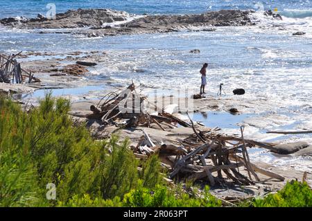 Driftwood Beach von Escalet Ramatuelle Var Stockfoto