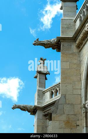 Nevers. Wasserspeier der Kathedrale Saint Cyr und Sainte-Julitte. Abteilung Nièvre. Bourgogne Franche Comte. Frankreich Stockfoto