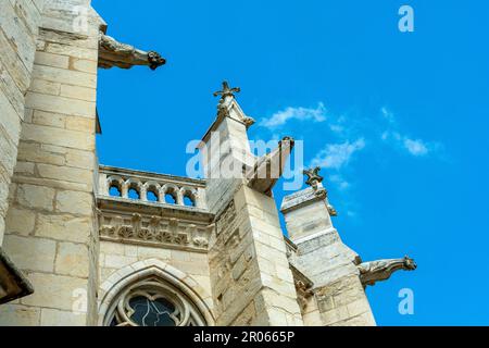 Nevers. Wasserspeier der Kathedrale Saint Cyr und Sainte-Julitte. Abteilung Nièvre. Bourgogne Franche Comte. Frankreich Stockfoto