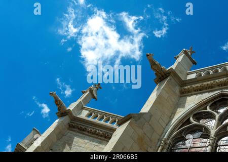 Nevers. Wasserspeier der Kathedrale Saint Cyr und Sainte-Julitte. Abteilung Nièvre. Bourgogne Franche Comte. Frankreich Stockfoto