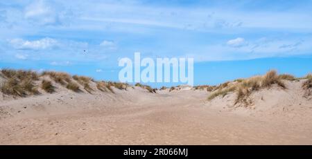 Sanddünen und Himmel über der ostsee Stockfoto