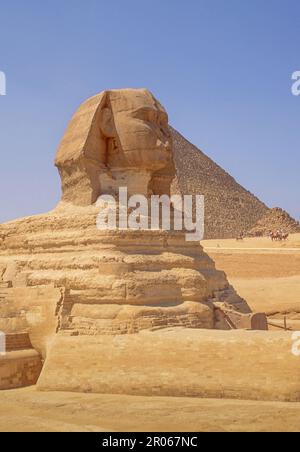 Die große Sphinx ist die älteste bekannte monumentale Skulptur in Ägypten. Es wurde vor mehr als 4.500 Jahren erbaut, um die Pyramide von Chephren in Gizeh zu bewachen. Stockfoto