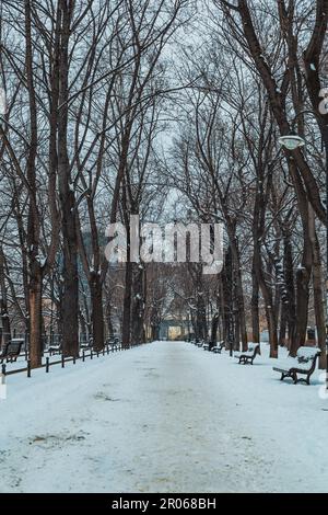 Stadtparkpfad im Winter Stockfoto