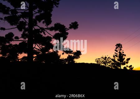 Baumsilhouetten während des Sonnenuntergangs in Lila und Orange am Mt Mee, Queensland, Australien Stockfoto