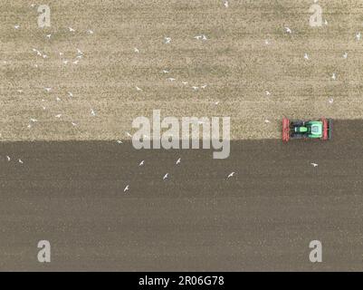 Luftaufnahmen. Aussaat, Pflügen, Ackerbau, Landwirtschaft. Seeding Stockfoto