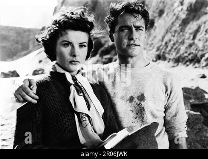 JEAN PETERS und RICHARD TODD als Reverend Peter Marshall in Einem MANN NAMENS PETER 1955 Regisseur HENRY KOSTER Buch Catherine Marshall Drehbuch Eleanore Griffin Musik Alfred Newman Produzent Samuel G. Engel Twentieth Century Fox Stockfoto