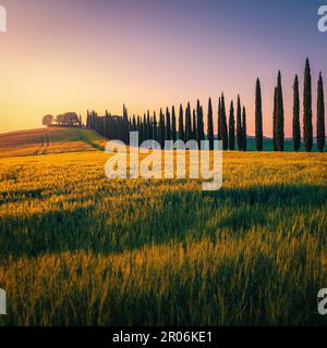 Haus auf dem Hügel und ländliche Straße mit Zypressen. Fantastische toskanische Landschaft mit Getreidefeldern bei Sonnenaufgang, Toskana, Italien, Europa Stockfoto