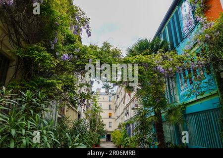 Üppige Pflanzen, La Cité du Figuier, versteckte Straße im 11. Arrondissement, bekannt als Ort, wo Metallarbeiter im 19. Jahrhundert Geschäfte hatten, Paris. Stockfoto