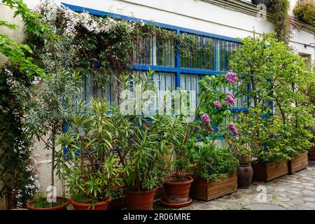 Üppige Pflanzen, La Cité du Figuier, versteckte Straße im 11. Arrondissement, bekannt als Ort, wo Metallarbeiter im 19. Jahrhundert Geschäfte hatten, Paris. Stockfoto