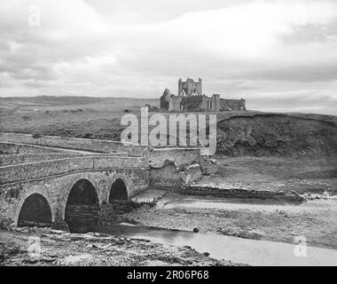 Die Dunbrody Abbey aus dem späten 19. Jahrhundert ist ein ehemaliges Zisterzienserkloster im County Wexford, Irland. Die kreuzförmige Kirche wurde im 13. Jahrhundert erbaut, und der Turm wurde im 15. Jahrhundert hinzugefügt. Mit einer Länge von 59m m war die Kirche eine der längsten in Irland, bis sie unter Heinrich VIII aufgelöst wurde und danach in den Ruin fiel. Der letzte Abt von Dunbrody war Alexander Devereux, der 1539 zum Farnbischof wurde. Stockfoto