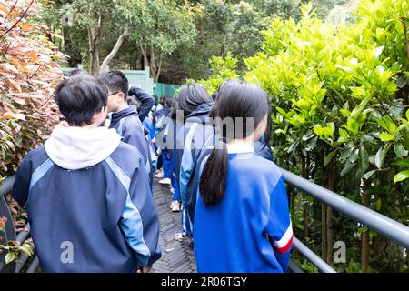 Rückblick auf glückliche junge männliche und weibliche High- oder Mittelschüler in Uniform, die zu einer großen Veranstaltung in Shaoshan, Hunan, China, marschieren oder sich versammeln Stockfoto