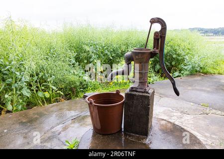 Menschen, die den Eimer mit Wasser aus der Handpumpe füllen, graben von Hand in flachen Grundwasserleitern in Dörfern auf dem Land in China. Rapssamen-Hülsen, Stiele, o Stockfoto