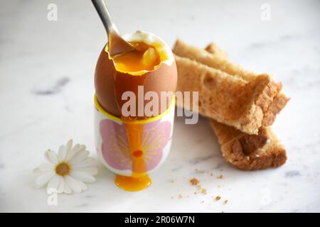 Ei, weich gekochtes Ei, Eierbecher, Frühstück, Keto-Diät, Gesundes, proteinhaltiges Frühstück Stockfoto