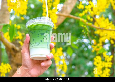 Eine Frau, die den Glas-Ice Matcha Latte grünen Tee-Kaffee im Frühling Natur-Hintergrund hält Stockfoto