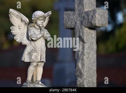 Sonnenbeleuchtete alte und verwitterte Steinskulptur eines Engelsbabys, oder Engelsbabys, im Gebet auf einem Friedhof, mit einem großen Steinkreuz im Hintergrund Stockfoto