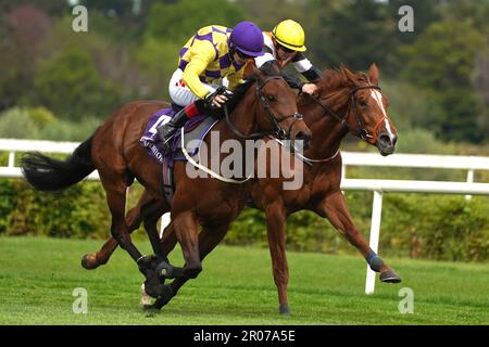 Power Under Me (Front), gefahren von Jockey Colin Keane, gewinnt die Amethyst-Stakes während des Derby Trial Day auf der Leopardstown Racecourse in Dublin, Irland. Foto: Sonntag, 7. Mai 2023. Stockfoto