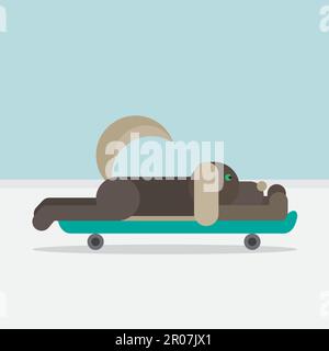 Hund sitzt auf einem Skateboard. Tierarzt-Symbol. Symbol "Lieferung". Vektor Stock Vektor